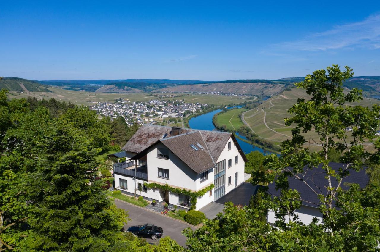Gaestehaus-Weingut Loersch Leiwen Esterno foto