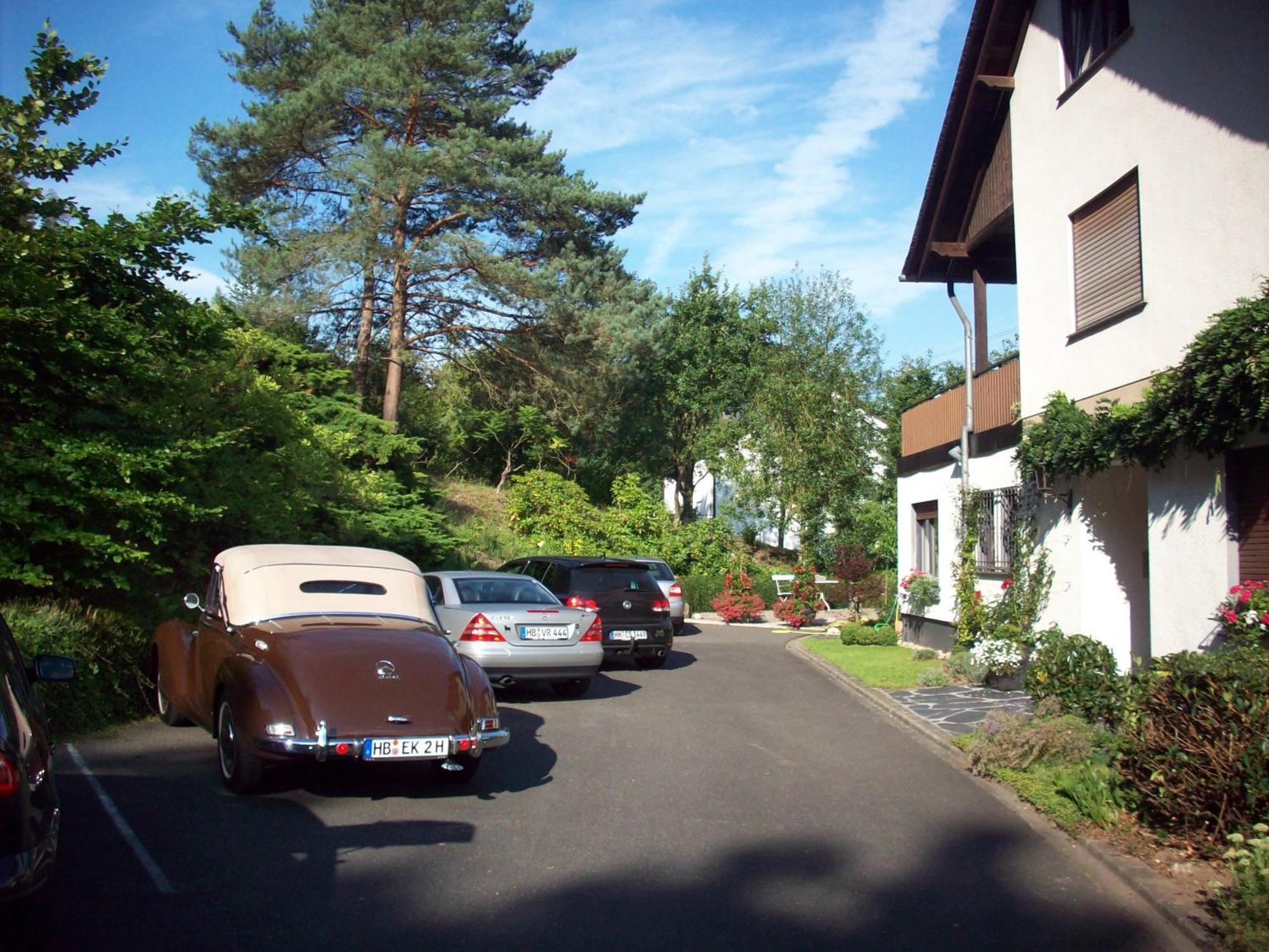 Gaestehaus-Weingut Loersch Leiwen Esterno foto