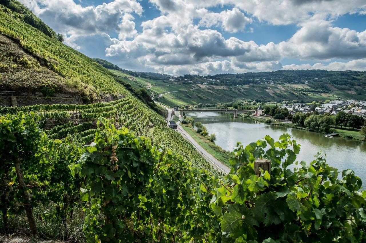 Gaestehaus-Weingut Loersch Leiwen Esterno foto