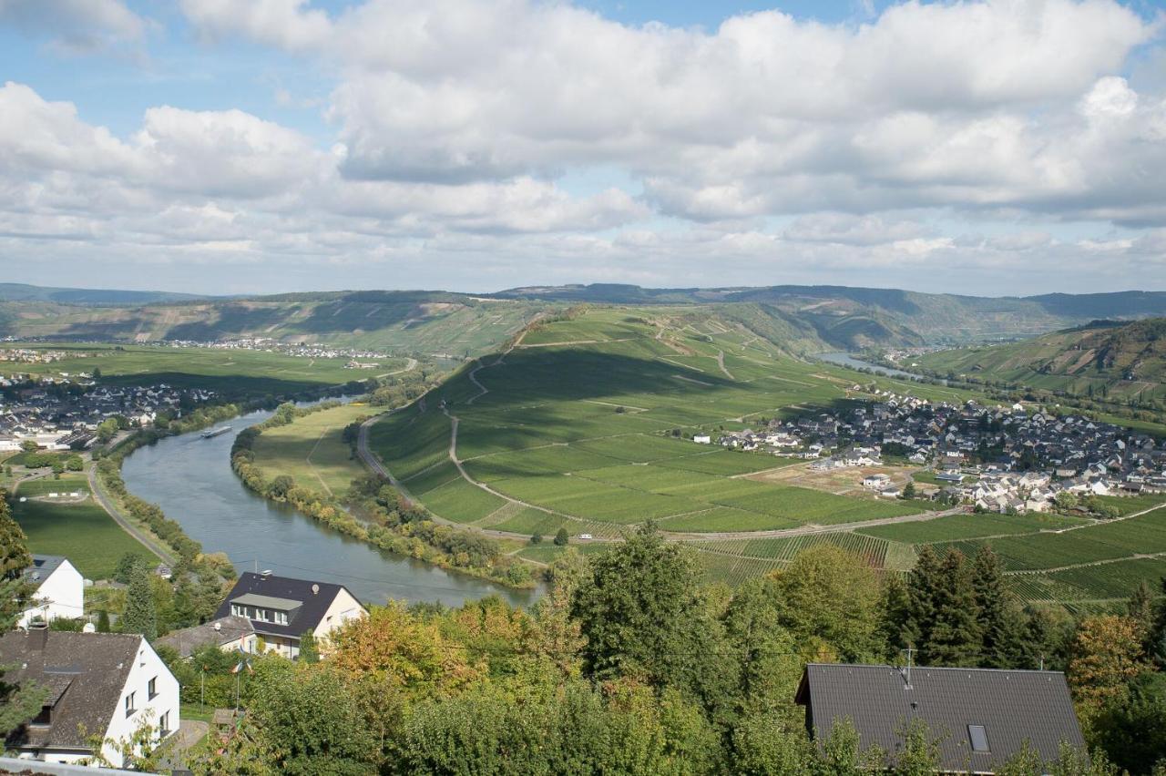 Gaestehaus-Weingut Loersch Leiwen Esterno foto